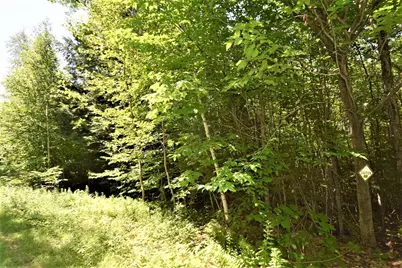 M4L6 Drinkuth Lane, Mexico, ME 04276 - Photo 17