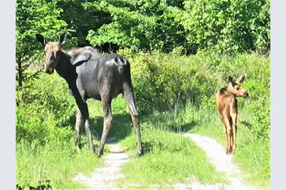 M4L6 Drinkuth Lane, Mexico, ME 04276 - Photo 23