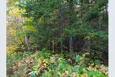 Lot 1-2 West Tucker Ridge Road, Springfield, ME 04487 - Photo 1