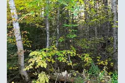 Lot 1-2 West Tucker Ridge Road, Springfield, ME 04487 - Photo 19