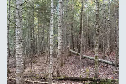 Lot 1-2 West Tucker Ridge Road, Springfield, ME 04487 - Photo 11