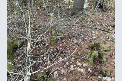 Lot 1-2 West Tucker Ridge Road, Springfield, ME 04487 - Photo 13