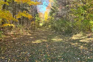 197 Lawler Ridge Rd, Herseytown Twp, ME 04777 - Photo 51