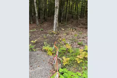 Lot 21-B Death Valley Road, Minot, ME 04258 - Photo 5