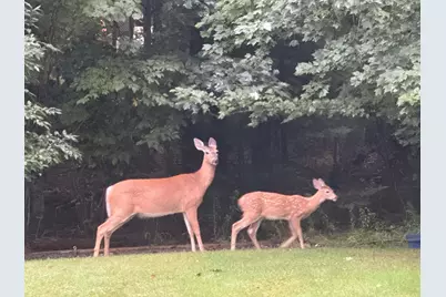 18 Violette Way, Orland, ME 04472 - Photo 45