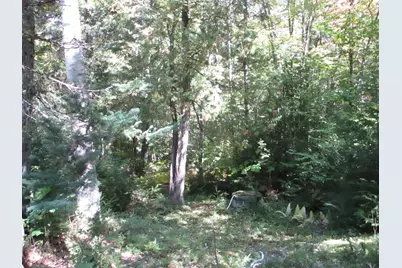 529 Redding Road, Sumner, ME 04292 - Photo 21