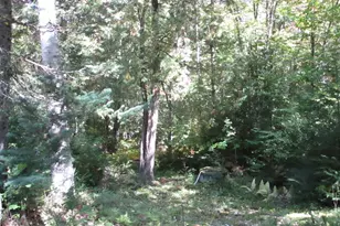 529 Redding Rd, Sumner, ME 04292 - Photo 21