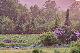 394 Jacob Buck Pond Rd, Bucksport, ME 04416 - Photo 45