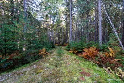 Map 17 Bear Springs Lane, Surry, ME 04684 - Photo 9