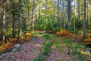 Map 17 Bear Springs Ln, Surry, ME 04684 - Photo 1