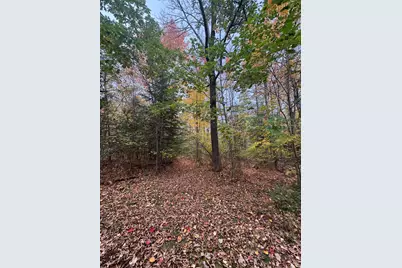 839 Oliver Hill Road, Garland, ME 04939 - Photo 9