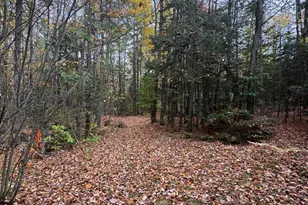 839 Oliver Hill Rd, Garland, ME 04939 - Photo 1