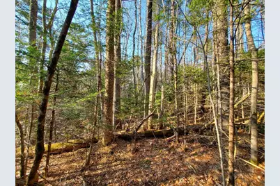 338 Goshen Road, Winterport, ME 04496 - Photo 19