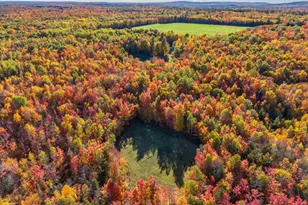 465 Powers Rd, Pittsfield, ME 04967 - Photo 9