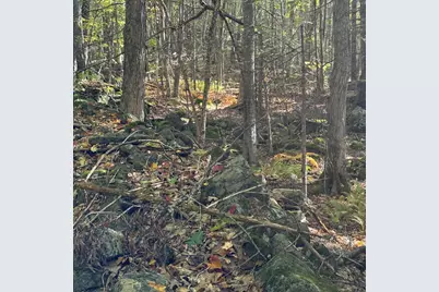 266 Mountain Road, Washington, ME 04574 - Photo 3