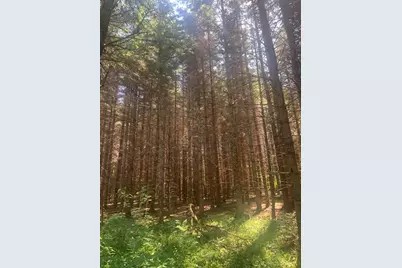 3741 Aroostook Road, Eagle Lake, ME 04739 - Photo 11