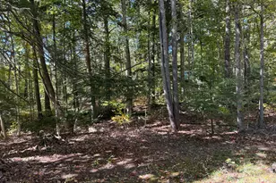 36 Mountain View Dr, Acton, ME 04001 - Photo 51