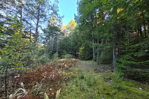 Lot 3 East Shore Rd, Lakeville, ME 04487 - Photo 59