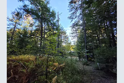 Lot 3 East Shore Road, Lakeville, ME 04487 - Photo 57