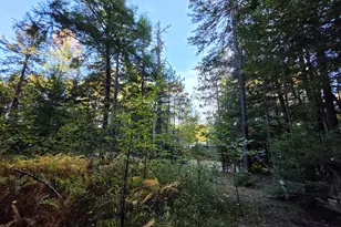 Lot 3 East Shore Rd, Lakeville, ME 04487 - Photo 57