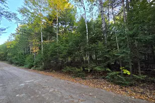 Lot 3 East Shore Rd, Lakeville, ME 04487 - Photo 53
