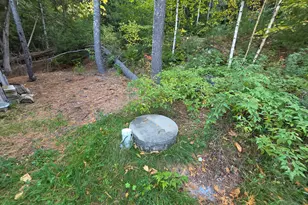 Lot 3 East Shore Rd, Lakeville, ME 04487 - Photo 35