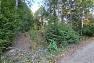 Lot 3 East Shore Rd, Lakeville, ME 04487 - Photo 55