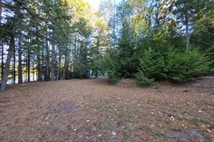 Lot 3 East Shore Rd, Lakeville, ME 04487 - Photo 51