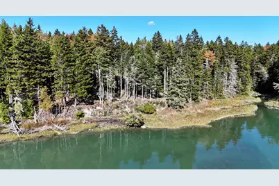 119 Flye Point Road, Brooklin, ME 04616 - Photo 19