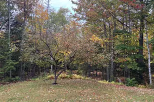 189 Chestnut Knoll Rd, Bethel, ME 04217 - Photo 43