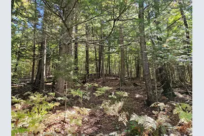 971 Anson Road, Starks, ME 04911 - Photo 43
