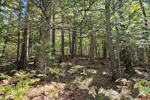 971 Anson Rd, Starks, ME 04911 - Photo 43