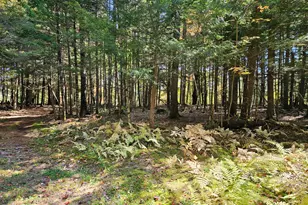 971 Anson Rd, Starks, ME 04911 - Photo 45