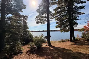 482 Lake Rd, T1 R5 Wels, ME 04459 - Photo 11
