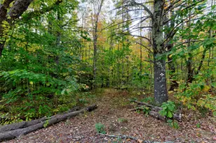 45-28 Fairview Ave, Gray, ME 04039 - Photo 1
