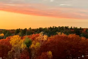 1169 Castine Rd, Orland, ME 04472 - Photo 41