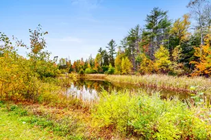 181 Day Rd, Garland, ME 04939 - Photo 7