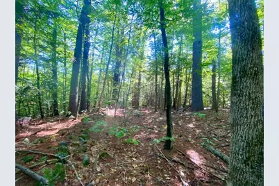 54Ac Haley Town Road, Fryeburg, ME 04037 - Photo 5