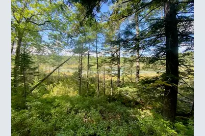 54Ac Haley Town Road, Fryeburg, ME 04037 - Photo 7