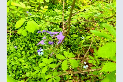 722 Belgrade Road, Mount Vernon, ME 04352 - Photo 81