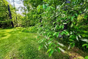 722 Belgrade Rd, Mount Vernon, ME 04352 - Photo 85