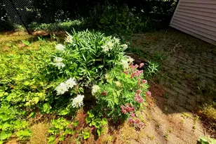 722 Belgrade Rd, Mount Vernon, ME 04352 - Photo 67