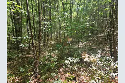 Lot 9 Pequawket Trail, Standish, ME 04084 - Photo 13