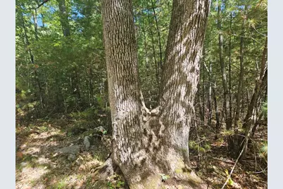 Lot 9 Pequawket Trail, Standish, ME 04084 - Photo 25