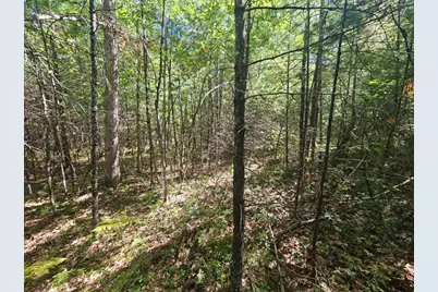 Lot 9 Pequawket Trail, Standish, ME 04084 - Photo 11