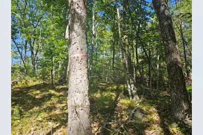 Lot 9 Pequawket Trail, Standish, ME 04084 - Photo 15