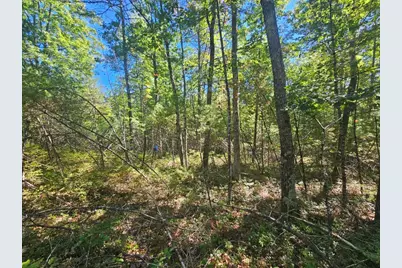 Lot 9 Pequawket Trail, Standish, ME 04084 - Photo 17
