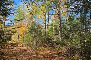1 Callahan Rd, Salem Twp, ME 04983 - Photo 31
