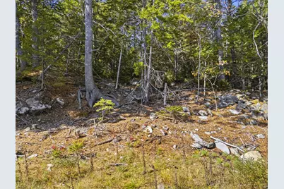 61 North End Road, Georgetown, ME 04548 - Photo 19