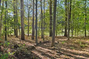 8 View St, Brunswick, ME 04011 - Photo 49